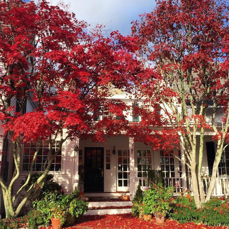Hob Knob Otel Edgartown Dış mekan fotoğraf